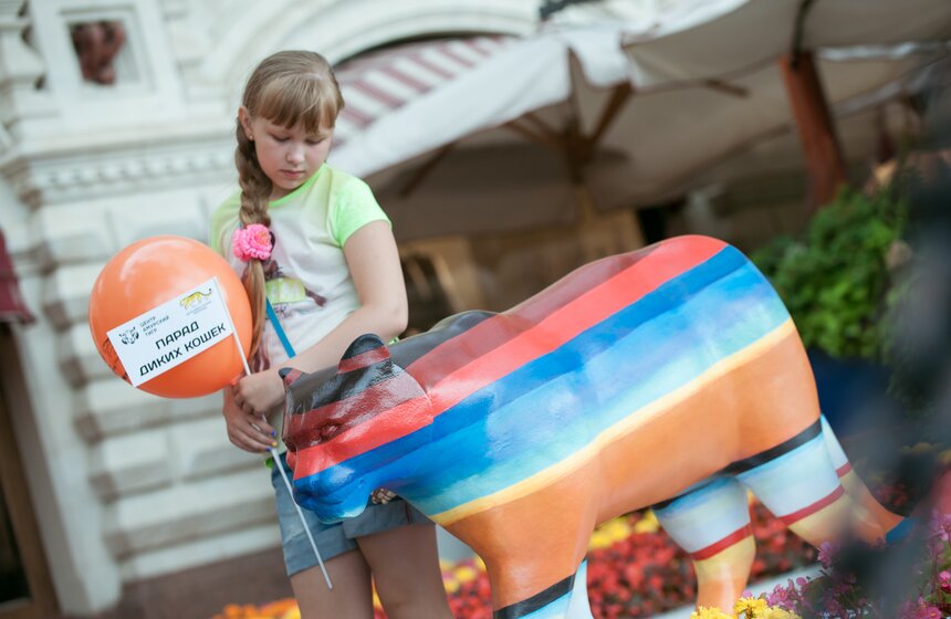 Презентация экологического арт-фестиваля "Парад диких кошек" 3 фото