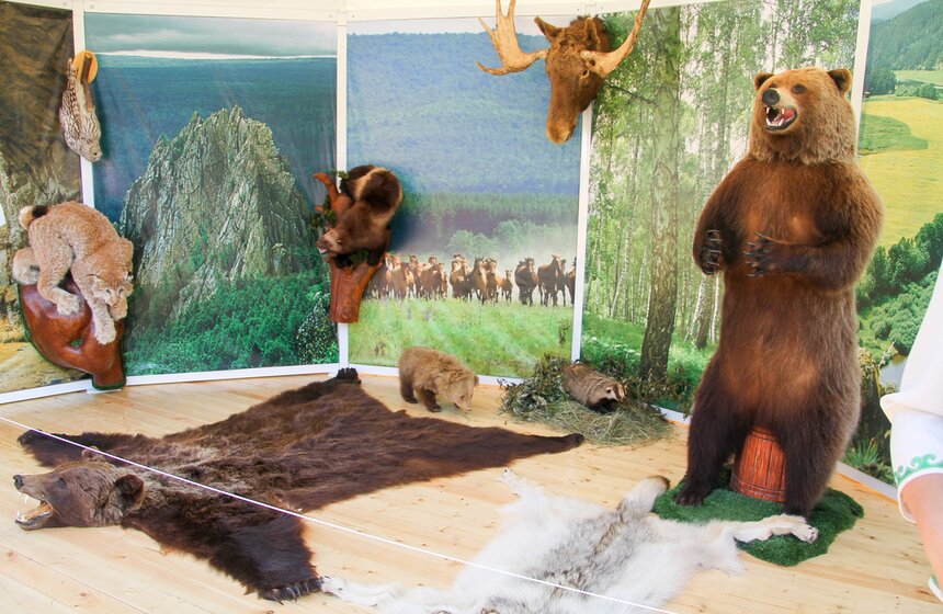 Праздник Сабантуй в парке "Коломенское" 28 фото