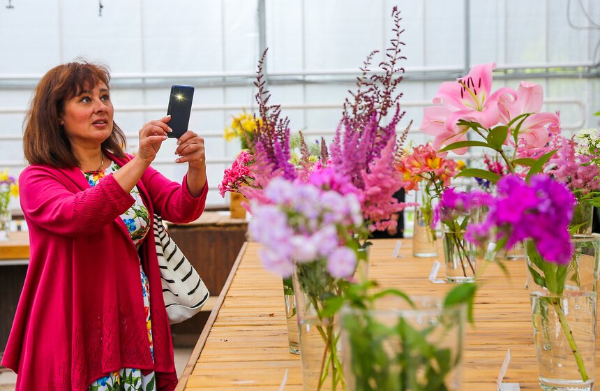 Фестиваль лилий в Аптекарском огороде 3 фото