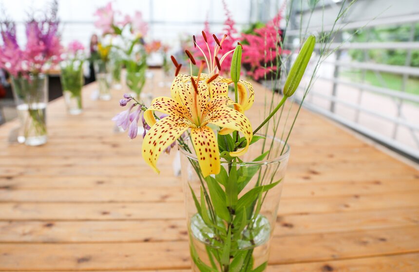 Фестиваль лилий в Аптекарском огороде 5 фото