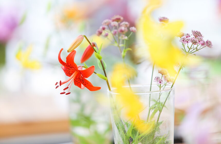 Фестиваль лилий в Аптекарском огороде 22 фото