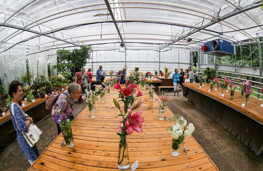 Фестиваль лилий в Аптекарском огороде 26 фото