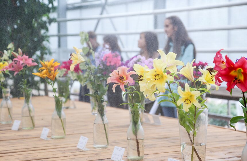 Фестиваль лилий в Аптекарском огороде 16 фото