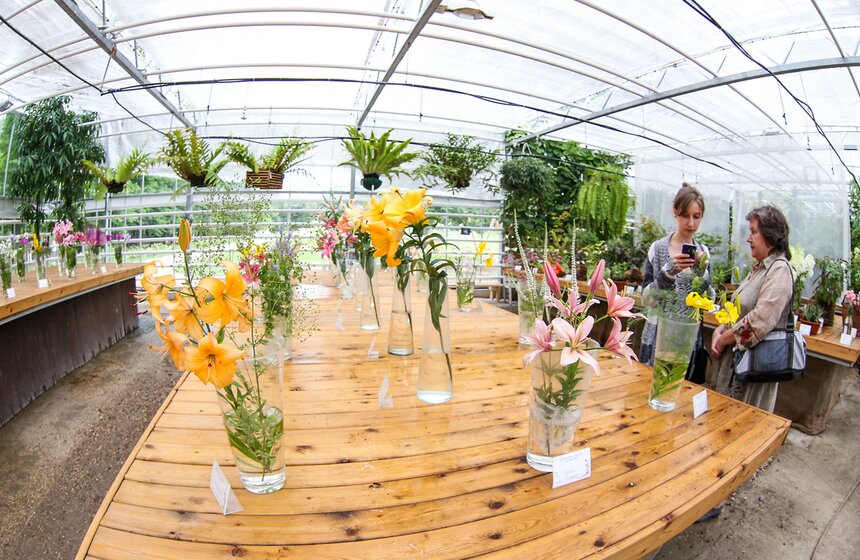 Фестиваль лилий в Аптекарском огороде 18 фото