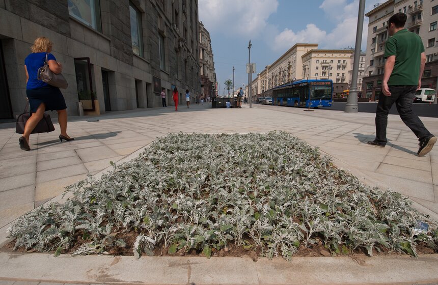 Завершилось благоустройство участка Тверской улицы 6 фото