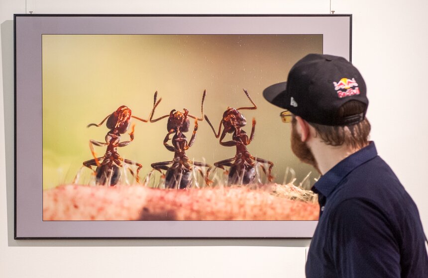 Выставка "Российская неделя фотографии" 4 фото