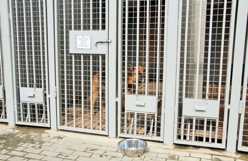 В Москве появится крупнейшая база для войск Росгвардии 13 фото