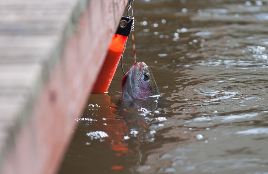Турнир по ловле форели "ГваРДия весны – 2016" 23 фото
