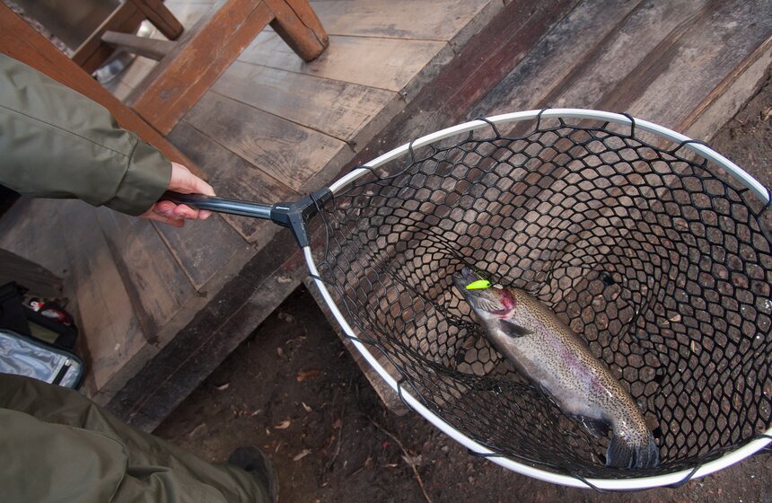 Турнир по ловле форели "ГваРДия весны – 2016" 8 фото