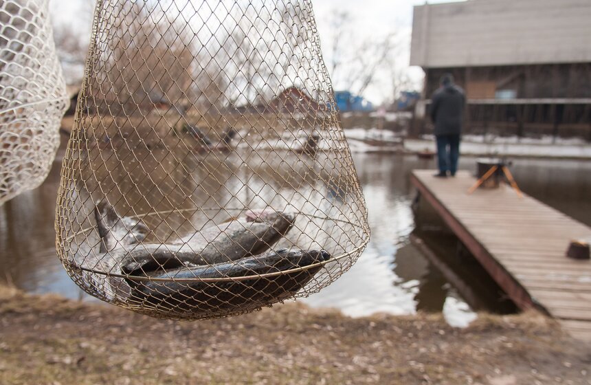 Турнир по ловле форели "ГваРДия весны – 2016" 20 фото