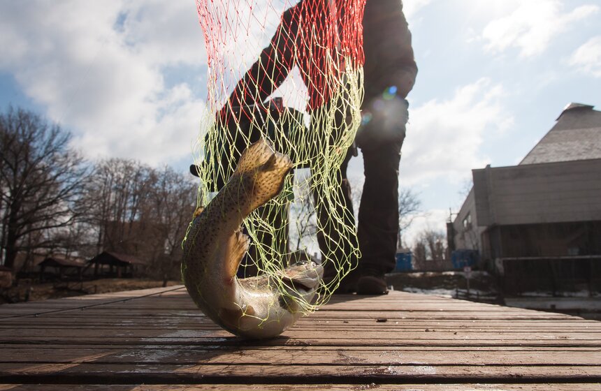 Турнир по ловле форели "ГваРДия весны – 2016" 17 фото