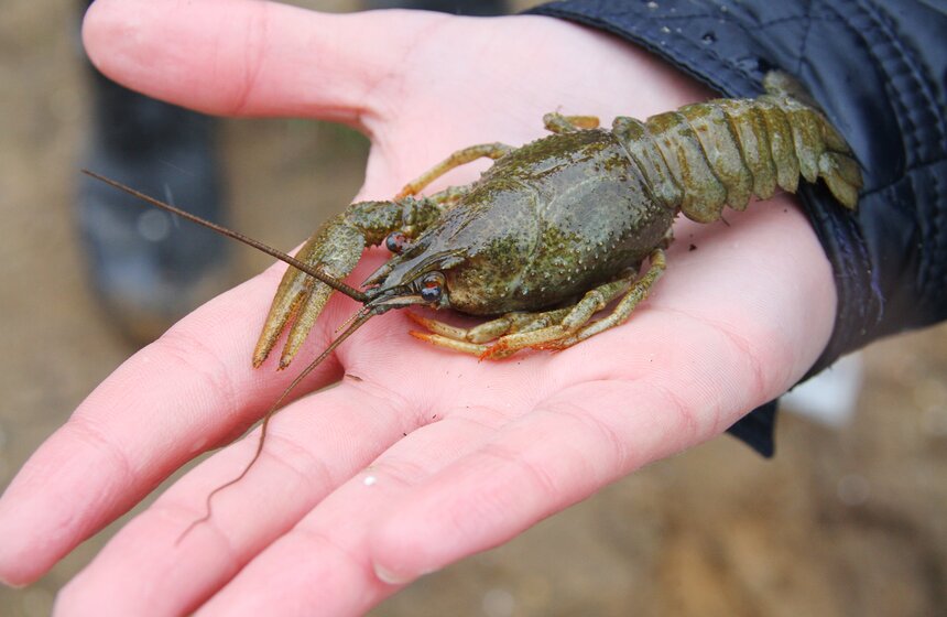 Всероссийская акция МЧС России "Чистый берег" 24 фото