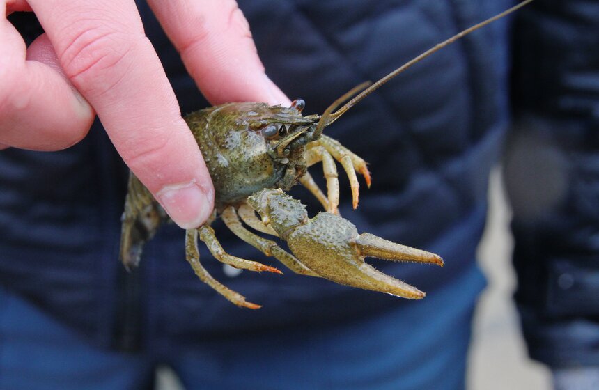 Всероссийская акция МЧС России "Чистый берег" 23 фото