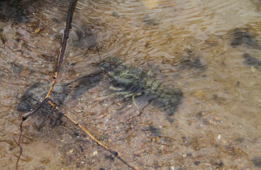 Всероссийская акция МЧС России "Чистый берег" 22 фото