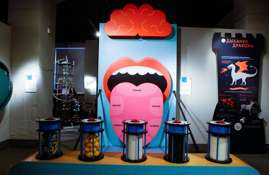 Музею человека "Живые системы" исполнился год 2 фото