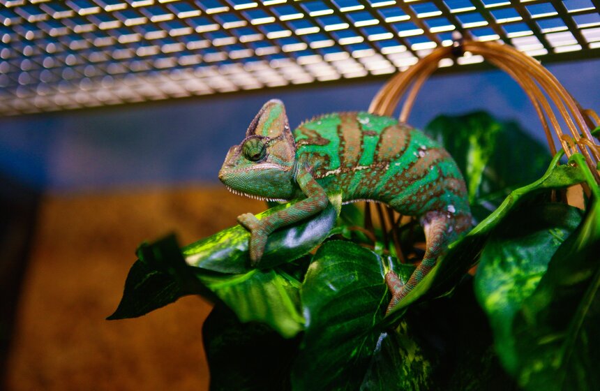 Музею человека "Живые системы" исполнился год 6 фото