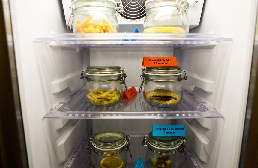 Музею человека "Живые системы" исполнился год 17 фото