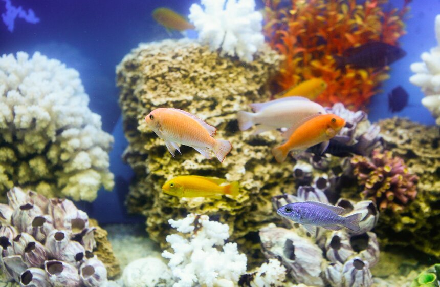 Музею человека "Живые системы" исполнился год 14 фото