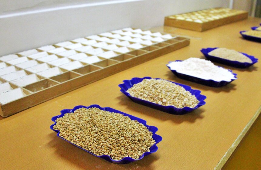 Сергей Собянин посетил мукомольный комбинат номер 3 4 фото