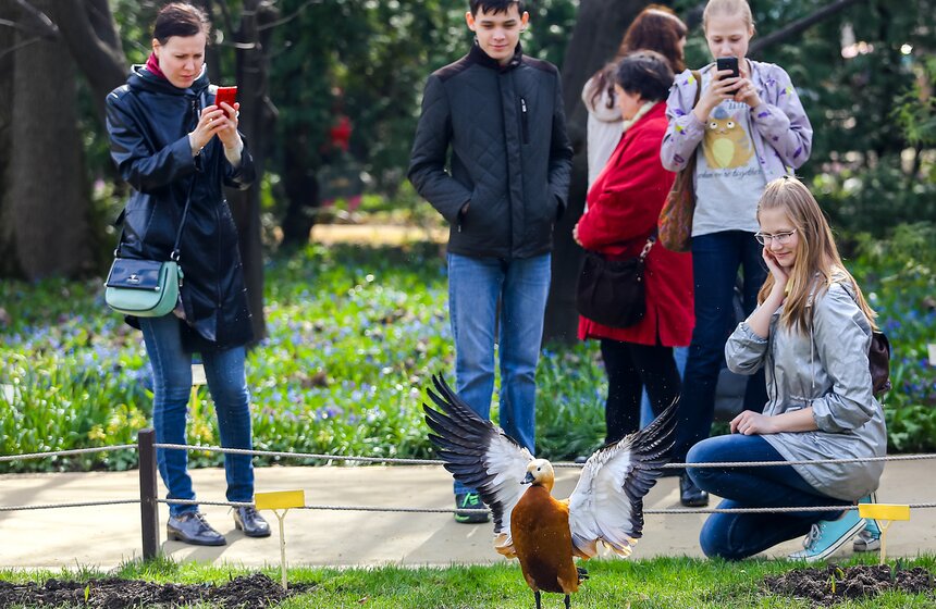 В "Аптекарском огороде" стартовал весенний фестиваль 33 фото