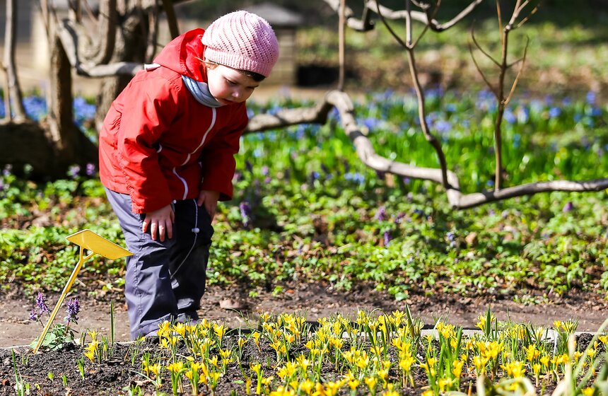 В "Аптекарском огороде" стартовал весенний фестиваль 16 фото