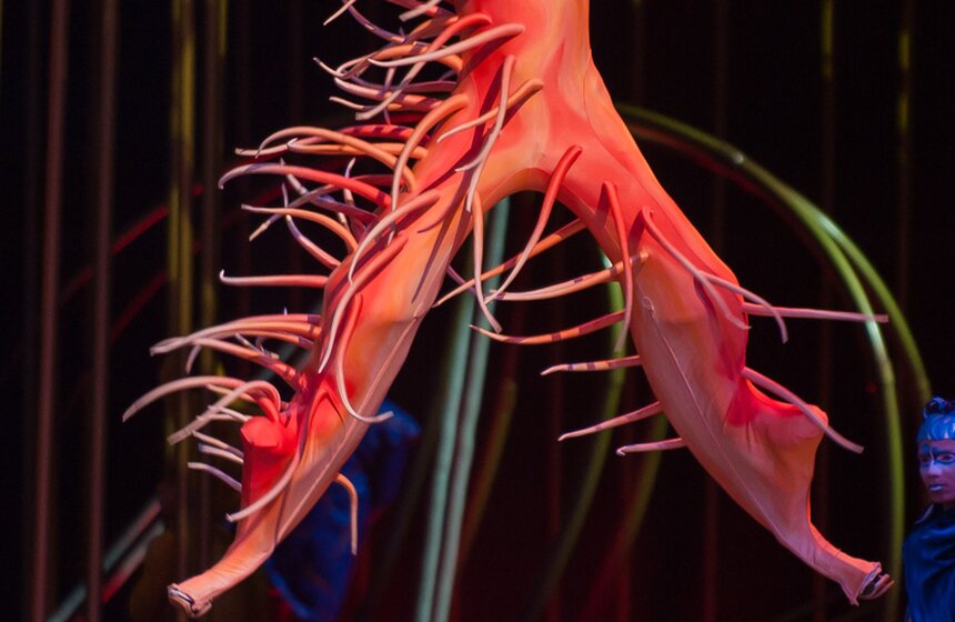 Cirque du Soleil провел генеральный прогон шоу "Varekai" 3 фото