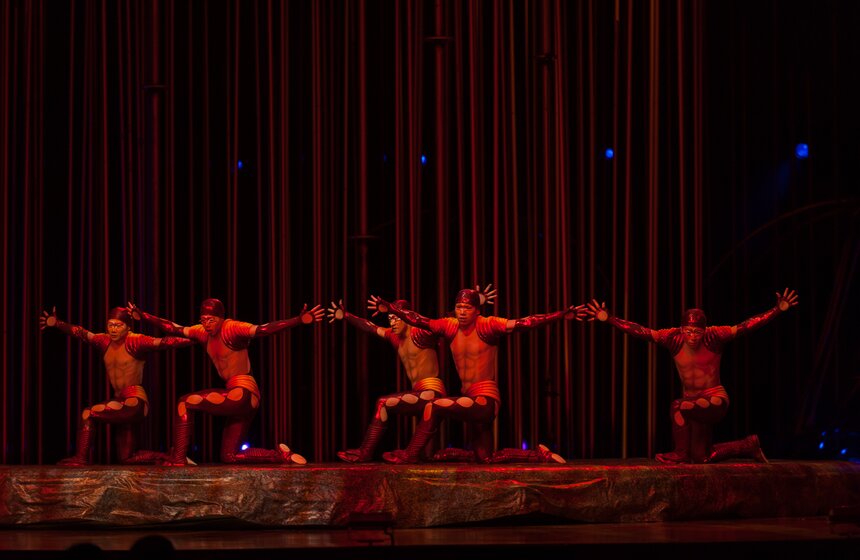 Cirque du Soleil провел генеральный прогон шоу "Varekai" 10 фото