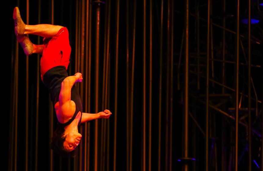 Cirque du Soleil: как выглядит закулисье шоу Varekai 29 фото