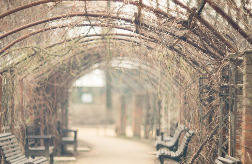 Весеннее оживление: в столице проснулись первоцветы 17 фото