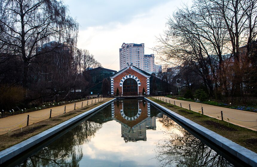 Весеннее оживление: в столице проснулись первоцветы 1 фото