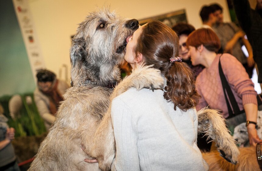 В Центральном доме художника стартовала Неделя Ирландии 6 фото
