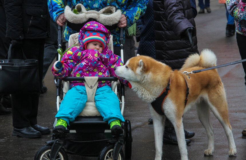 В парке "Сокольники" отпраздновали 8 марта 17 фото