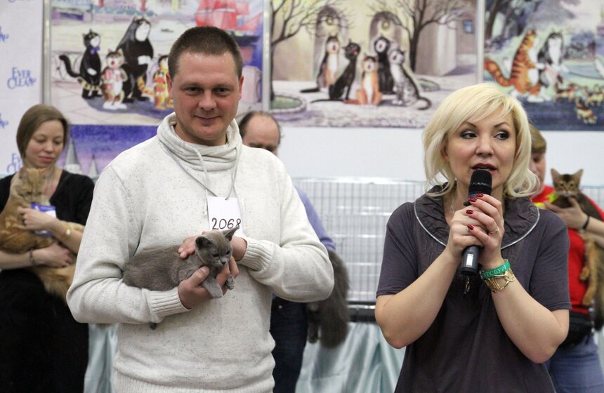 Международная выставка кошек "Кэтсбург-2016" 22 фото