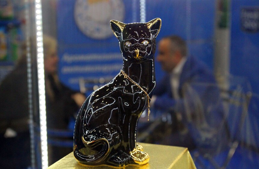 Международная выставка кошек "Кэтсбург-2016" 4 фото