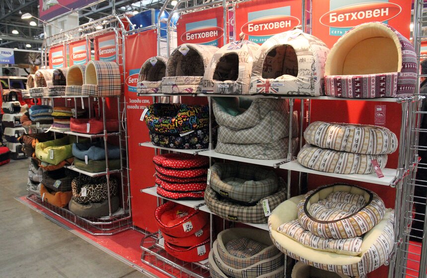 Международная выставка кошек "Кэтсбург-2016" 9 фото