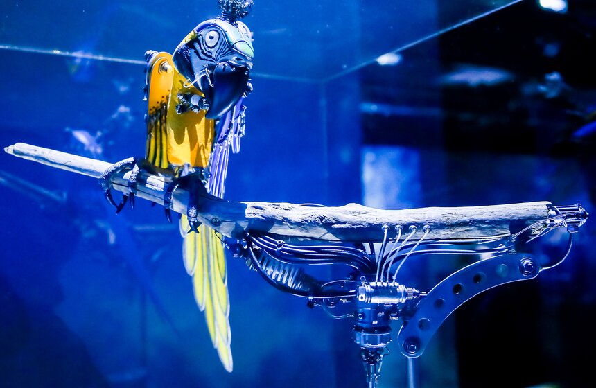 В Москве открылась выставка "Таинственные обитатели Вселенной" 11 фото