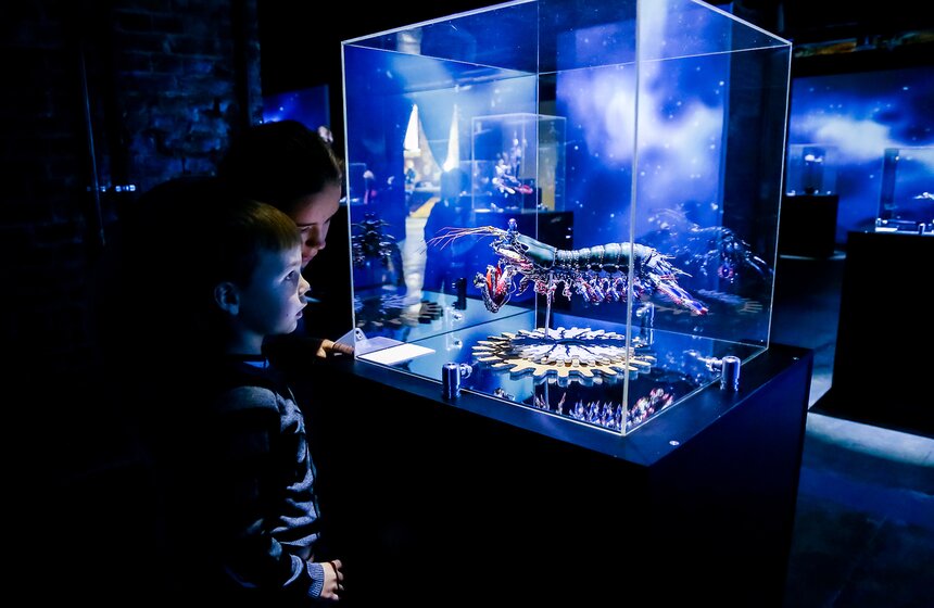 В Москве открылась выставка "Таинственные обитатели Вселенной" 10 фото