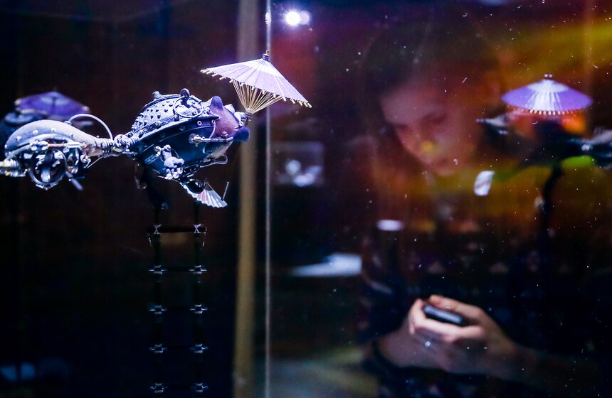 В Москве открылась выставка "Таинственные обитатели Вселенной" 5 фото