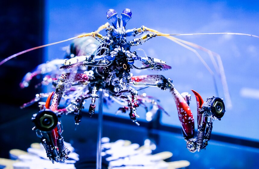 В Москве открылась выставка "Таинственные обитатели Вселенной" 8 фото