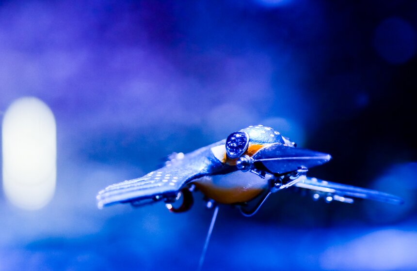 В Москве открылась выставка "Таинственные обитатели Вселенной" 7 фото