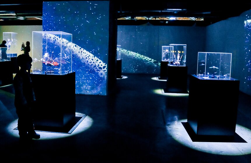 В Москве открылась выставка "Таинственные обитатели Вселенной" 9 фото