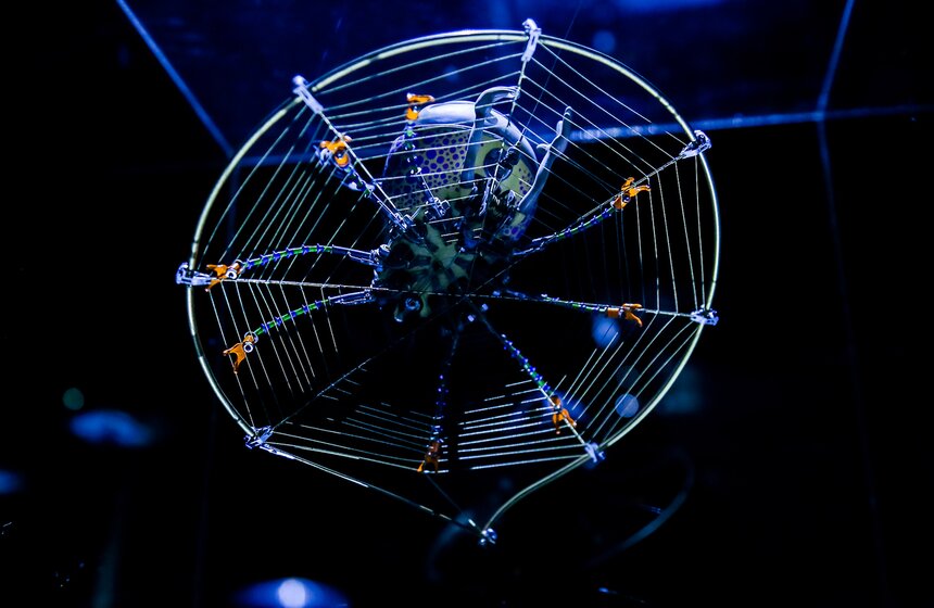 В Москве открылась выставка "Таинственные обитатели Вселенной" 15 фото