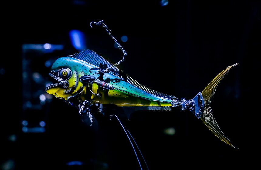 В Москве открылась выставка "Таинственные обитатели Вселенной" 17 фото