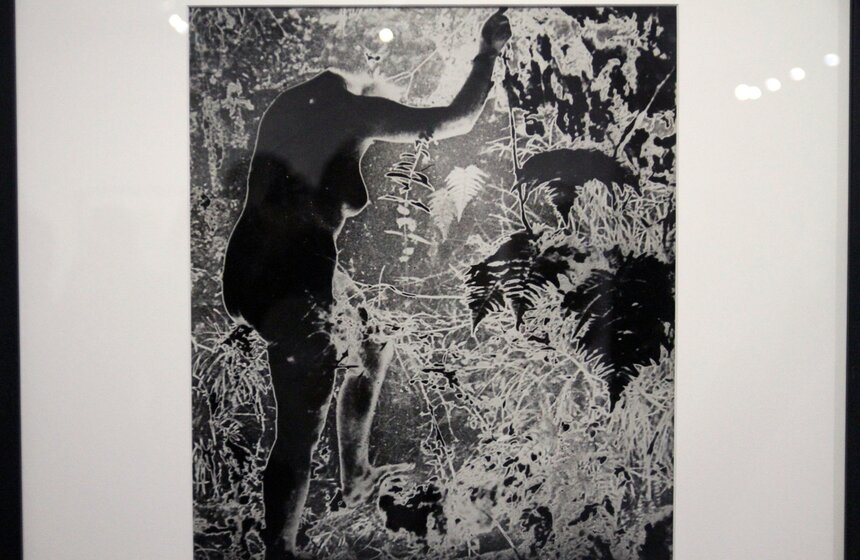 Гала-открытие "Фотобиеннале-2016" в Мультимедиа Арт Музее 10 фото