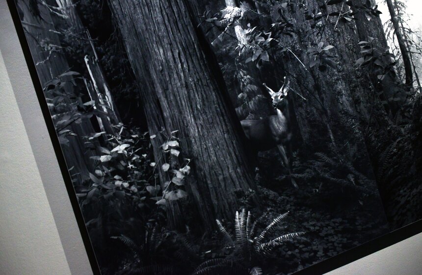 Выставка Хироси Сугимото в Мультимедиа Арт Музее 12 фото