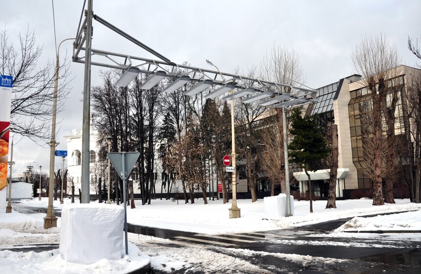 Воздушная зебра на ВДНХ 4 фото