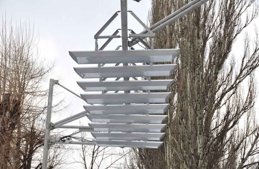 Воздушная зебра на ВДНХ 3 фото