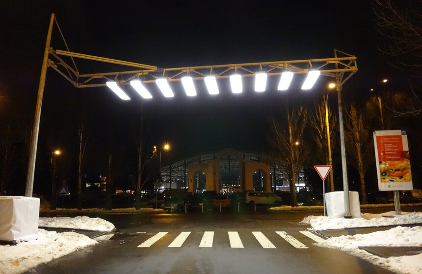 Воздушная зебра на ВДНХ 6 фото