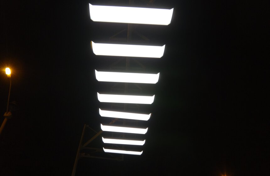 Воздушная зебра на ВДНХ 7 фото