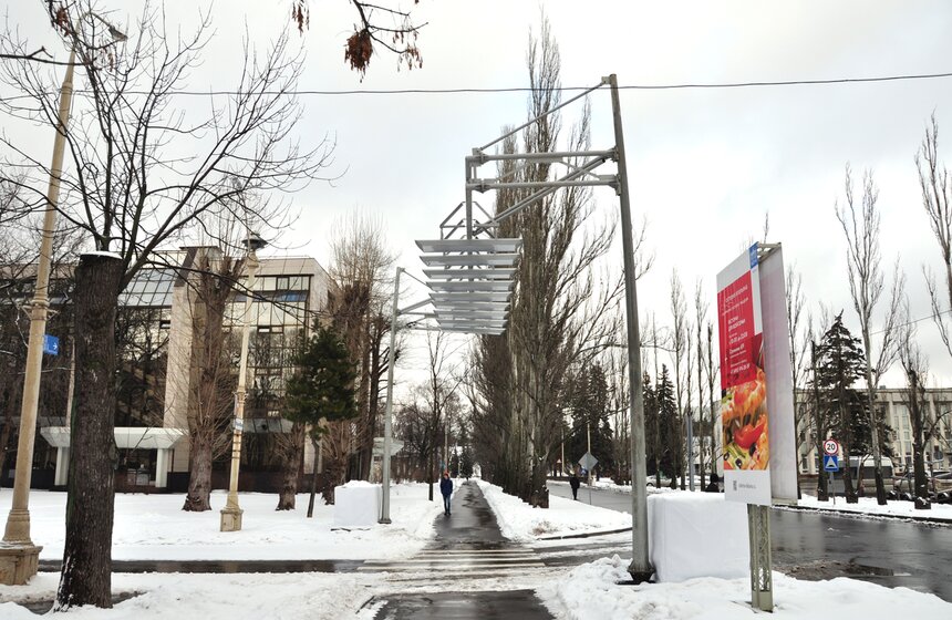 Воздушная зебра на ВДНХ 10 фото